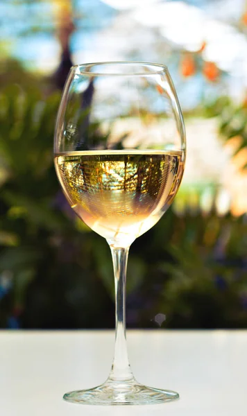 Verre Vin Blanc Réfrigéré — Photo