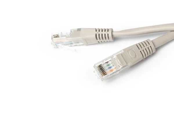 Close Network Cable — Stock Photo, Image