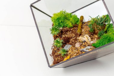 etli bahçede mini cam florarium