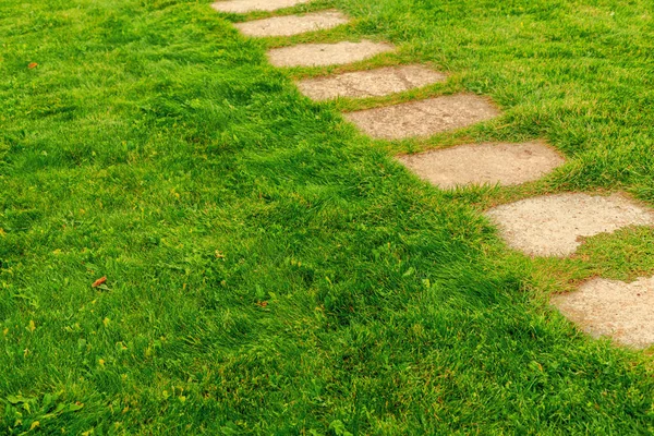 Grünes Gras Mit Pfad Sonnigen Tagen Nahaufnahme — Stockfoto