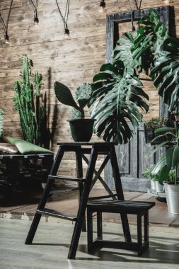 Kompozisyon tropikal yaprak