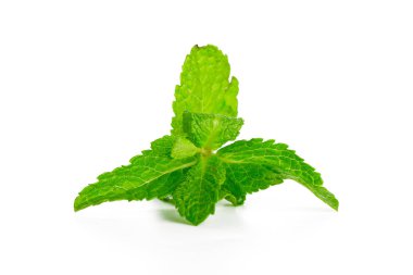 Beyazda izole edilmiş nane