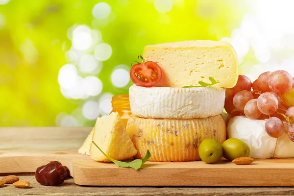 치즈의 — 스톡 사진
