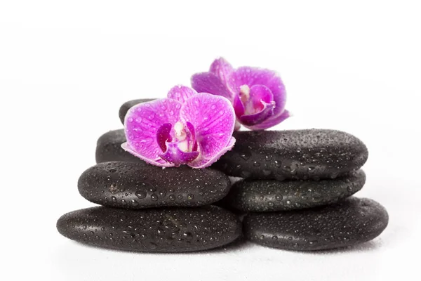 Pedra Zen Orquídea Conceito Spa — Fotografia de Stock