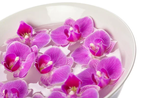 Orchidee Geïsoleerd Wit — Stockfoto