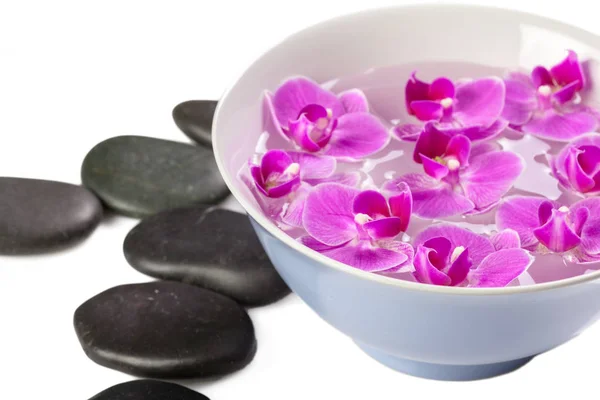 Zen Stone Orchidea Koncepcja Spa — Zdjęcie stockowe