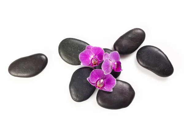 Pedra Zen Orquídea Conceito Spa — Fotografia de Stock