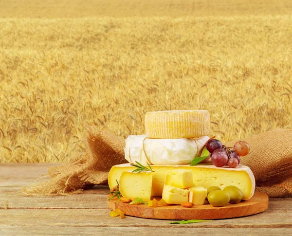 Delicious Cheese Table — Stock Photo, Image