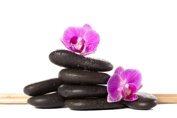 Zen Stone Orchidea Koncepcja Spa — Zdjęcie stockowe