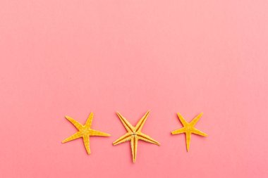 Starfishes canlı parlak renkli arka plan üzerinde