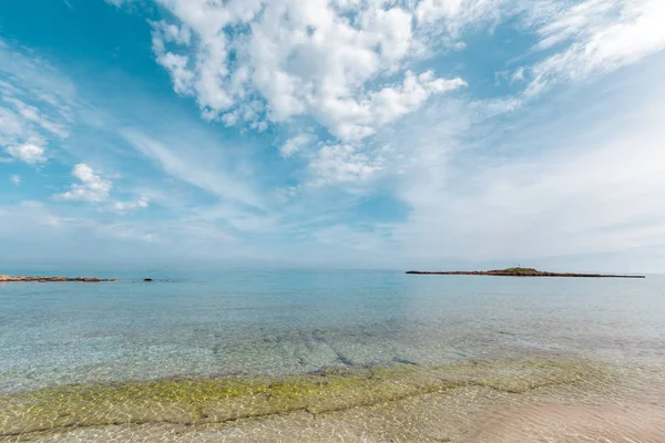 güneşli kum plaj doğa manzarası 
