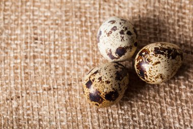 Bıldırcın yumurtası Sim Tarih