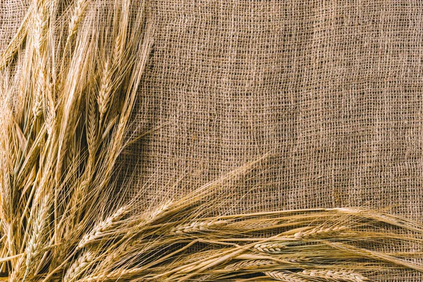 Buğday üzerinde çul yakın çekim 