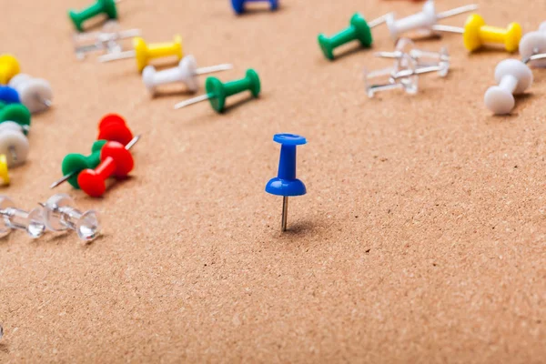 kahverengi mantar pano iğneleri