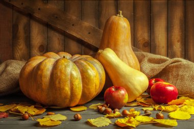 Ahşap arka planda balkabakları ve elmalar