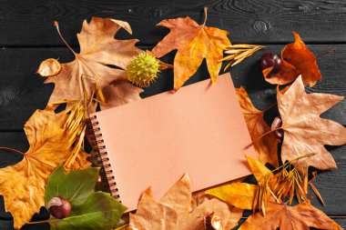 Sonbahar çevrili boş defter bırakır