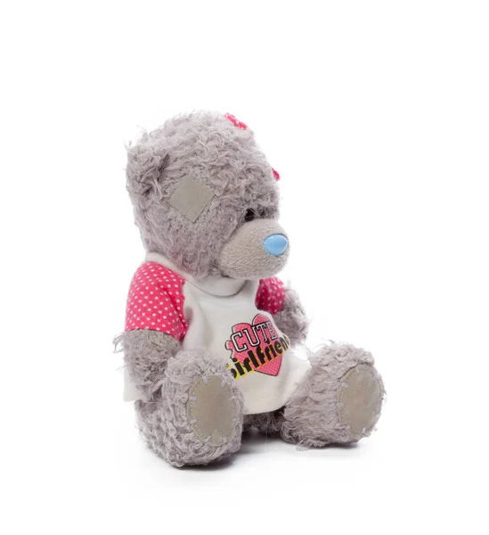 Teddybär Auf Weißem Hintergrund Nahaufnahme — Stockfoto