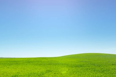 arka plan güzel yeşil sahada