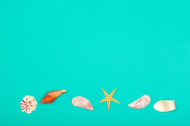 Tropikal arka plan. Deniz kabuğu renkli moda modern arka plan üzerinde.