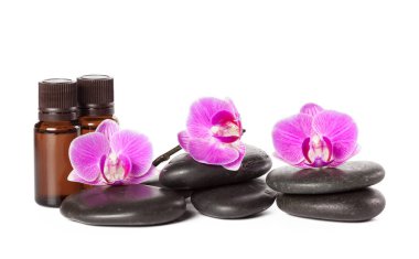 Zen stone ve orkide. Spa konsept