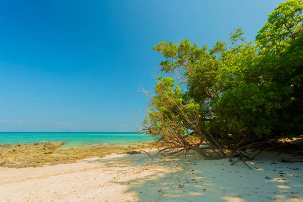 Mar Paraíso Tropical Concepto Viaje — Foto de Stock