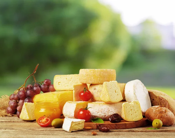 Delicious Cheese Table Close View — Stock Photo, Image