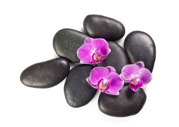 Pedra Zen Orquídea Conceito Spa — Fotografia de Stock