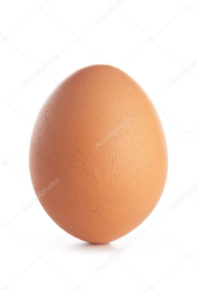 egg on white background, close up view