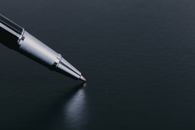 Dolma kalem açık not defteri üzerinde