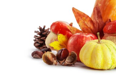 Kabaklar ve beyaz arka plan üzerinde izole yaprakları ile sonbahar ekran