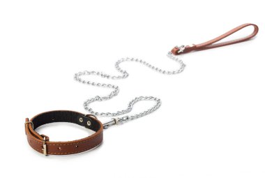 Dog leash isolated on white. close up clipart