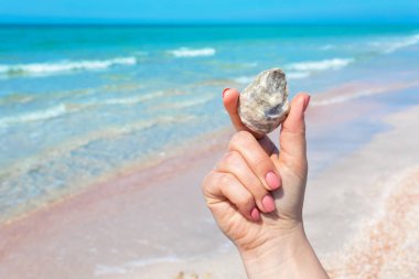Bir deniz kabuğu sahilde tutan kadın el.