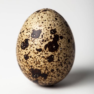 Bıldırcın yumurta beyaz zemin üzerine