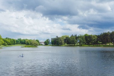 Su ile güzel yeşil park görüntüleyin