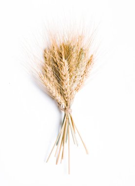 Beyaz arkaplanda yalıtılmış buğday kulakları