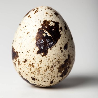 Bıldırcın yumurta beyaz zemin üzerine