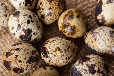 Çul yumurtalarının bıldırcın, görünümü Kapat