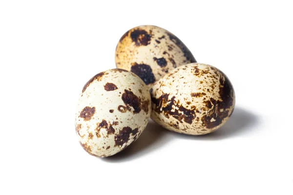 Huevos Codorniz Aislados Sobre Fondo Blanco — Foto de Stock