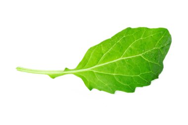 Beyaz arka plan üzerinde izole taze yeşillik