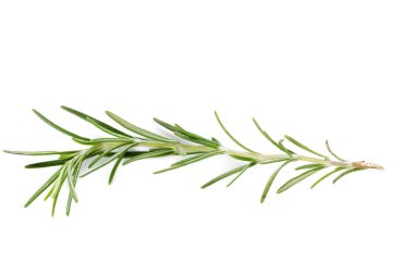 Taze yeşil biberiye beyazda izole edilmiş.