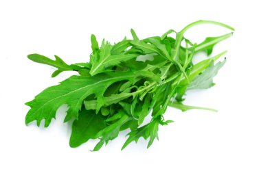 Arugula beyaz arkaplanda izole bırakılır