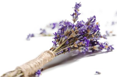 Lavanta çiçekleri Grup, görünümü kadar yakın