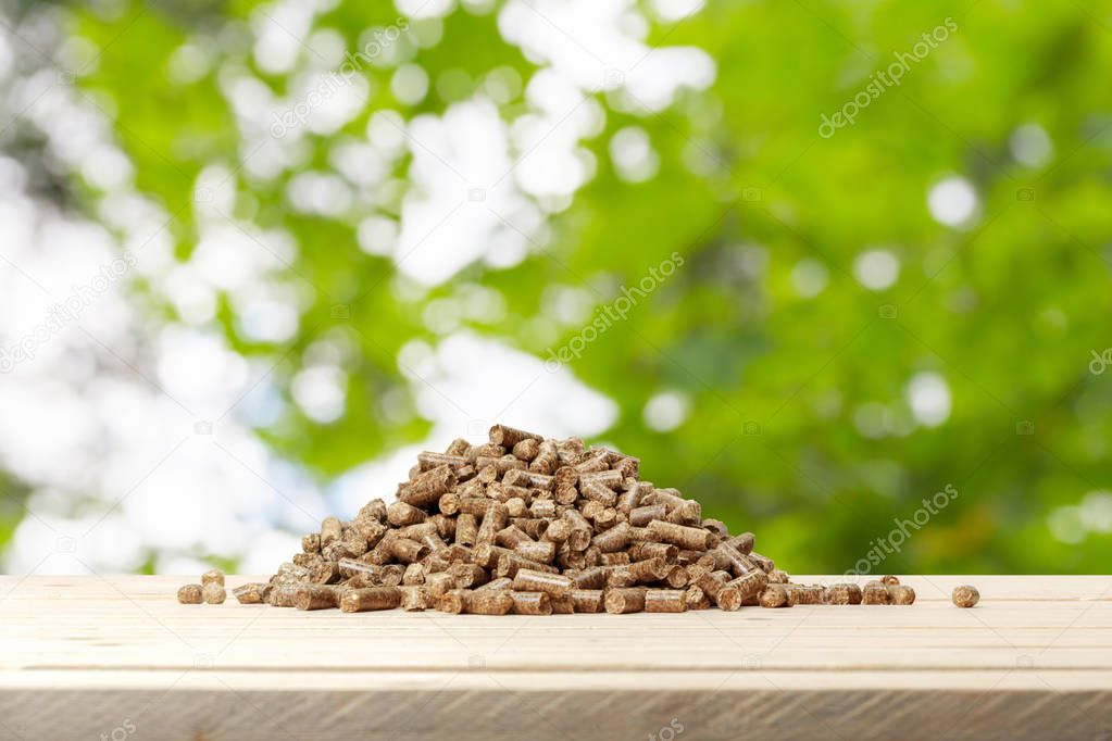 Wood pellets on a green background. Biofuels.