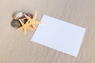Holiday beach kavramı kabukları, seastars ve boş bir kartpostal