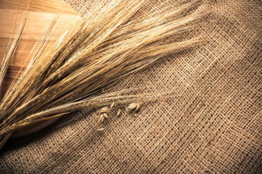 Kulakları buğday bir Sim Tarih