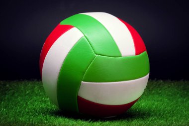 Çimenlerin üzerinde voleybol topu