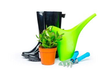 bahçe araçları beyaz üzerinde izole