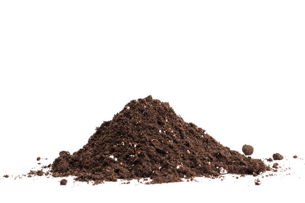 Soil or dirt section isolated on white background