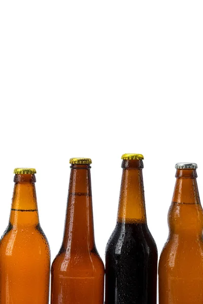 Beer Bottles Isolated White Background — Stock Photo, Image