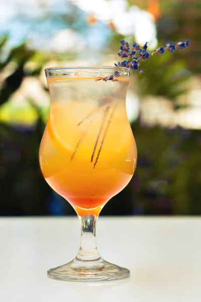 Orange Cocktail High Ball Glass — Stock Photo, Image